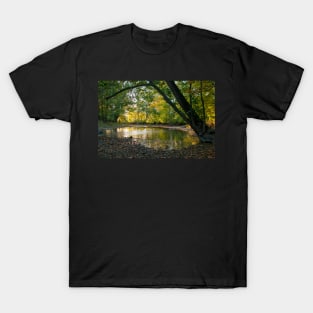 Reflections of autumn on the river T-Shirt